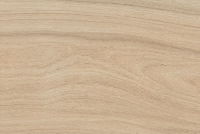 Zanzibar Camel EXT