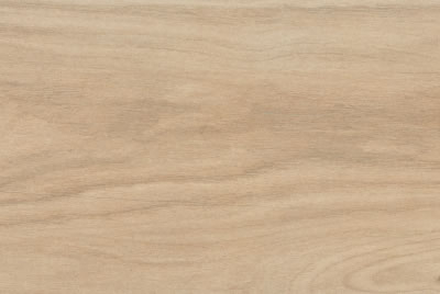 Zanzibar Camel EXT