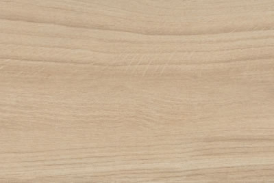 Zanzibar Camel EXT