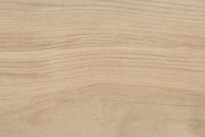 Zanzibar Camel EXT