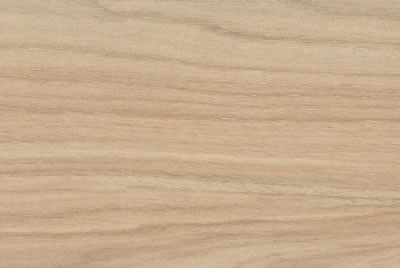 Zanzibar Camel EXT