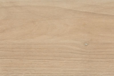Zanzibar Camel EXT